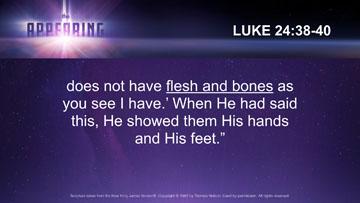 does not have flesh and bones as you see I have. When He had said this, He showed them His hands and His feet. The Bible indicates that Christ took on human flesh and bones.