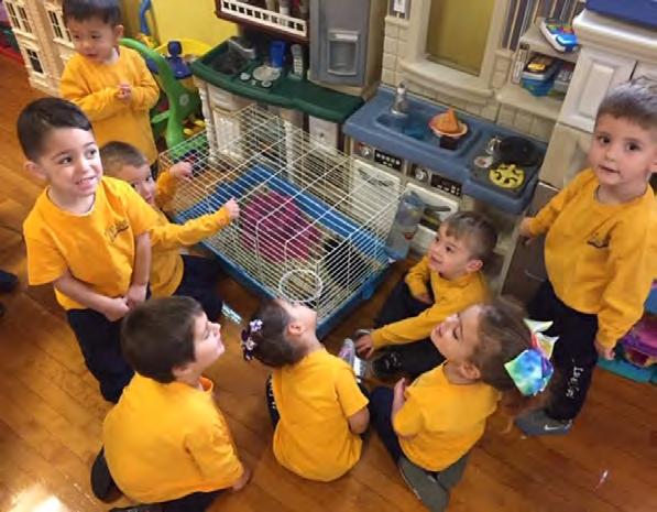 Kenny s nursery class really enjoyed meeting our school guinea pigs, Zoe and Chloe, and taking care of them in our classroom for a week.