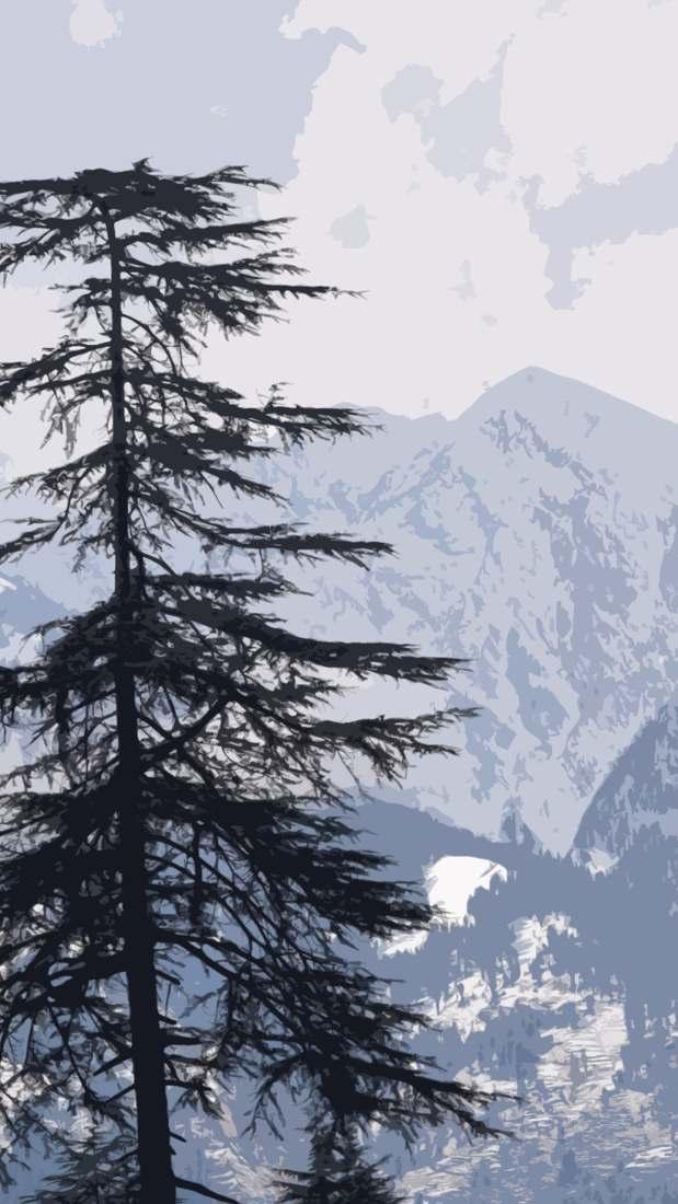 Snow Trekking in manali In the months of winter MANALI changes its colours to fresh white!