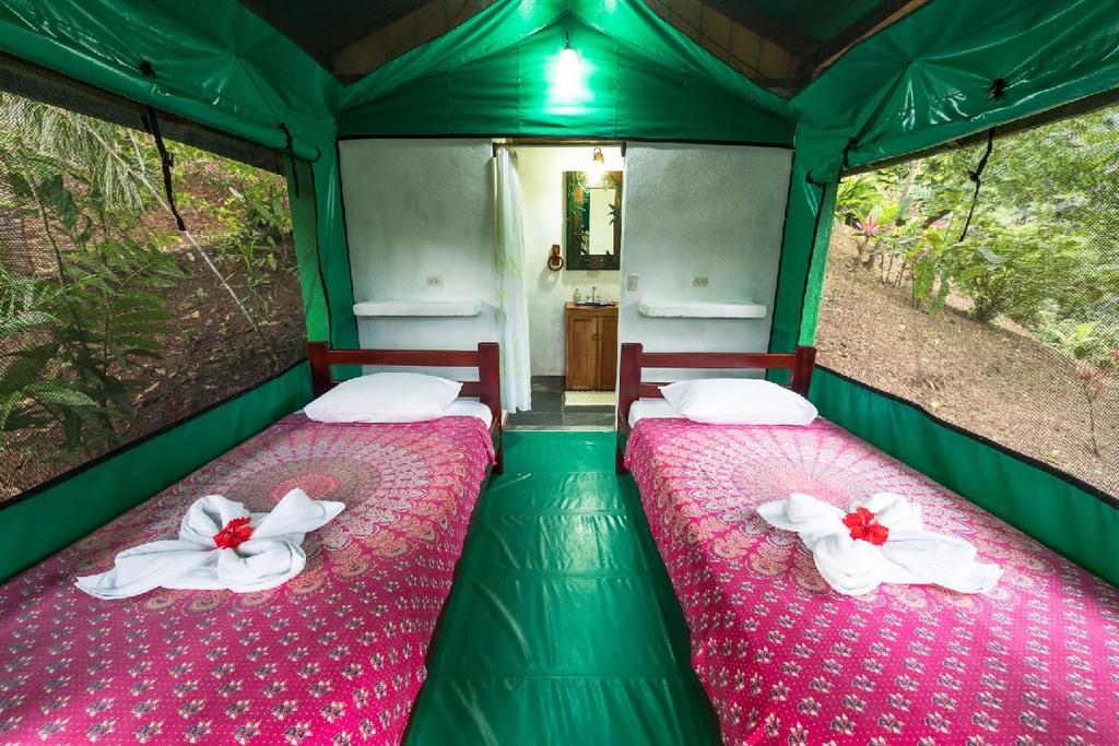 THE SAFARI TENT The perfect option for the Nature-Lover.