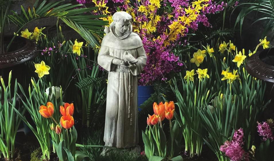 edu Help after Easter with FLOWERS call the Church Office 434-845-7301 Looking Ahead CALENDAR HIGHLIGHTS March 1 Ash Wednesday Services 7 AM 12 Noon 6 PM 8 5:30 PM Evensong & Program 15 5:30 PM
