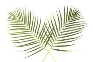 the Palms will begin outdoors, with a process to the Foyer and celebration of Holy Eucharist, Rite II.