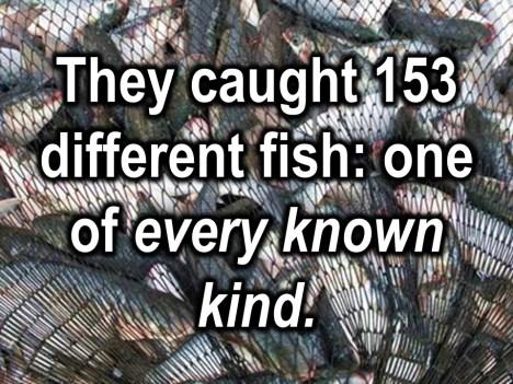 That s called obedience. Second thing: we must be, as brothers and sisters in Christ, fishing for every kind of fish.