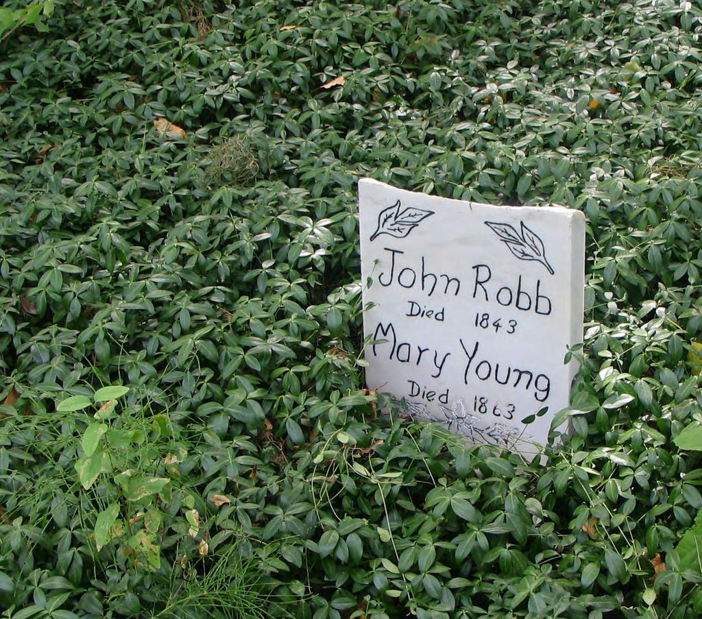 PLANTS Similar to headstone iconography, cemetery plantings often held symbolic significance.