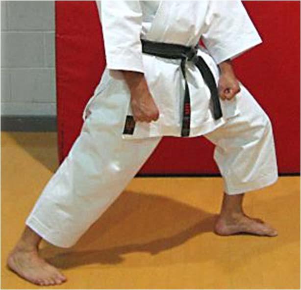 Introduction: Maintaining Balance A good martial arts instructor, will be more interested in how well you maintain balance, than in how