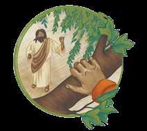 ZACCHAEUS OVERCAME OBSTACLES IN ORDER TO SEE JESUS Did you notice the characteristics Luke used to describe Zacchaeus?