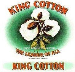 The Plantation System in the Southwest: Cotton became the basis of the new agricultural economy.