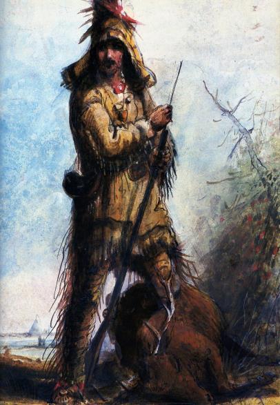 Trading and Trapping in the Far West: o Fur traders at first bought fur from the Indians, but increasingly, white trappers entered the region and began to hunt beaver on