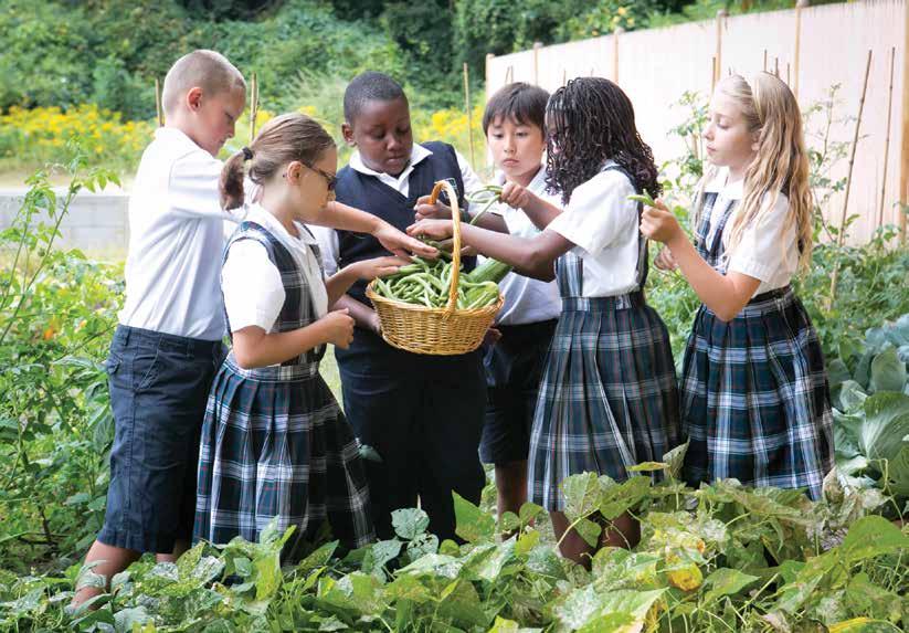 2012 2013 Annual Report INVEST IN A GOOD THING Catholic Schools, The Whole Church s Responsibility The Diocese of Worcester has a long and faith-filled history of spreading the good news of the