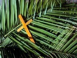 Palm Sunday Service On Sunday, March 25 at 11:00 am this service will prepare your heart as we focus on the life of Christ a week before His crucifixion.