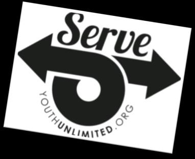 June 2015 What is Serve?