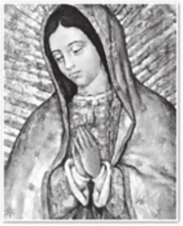 THE MOST HOLY BODY AND BLOD OF CHRIST JUNE 3, 2018 Brothers and Sisters in the Lord, As we come to the end of May and now begin June, we have just left a month where we celebrate our Blessed Mother,