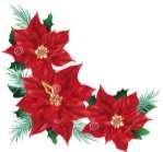 CHRISTMAS WREATHS & POINSETTIAS HANGING OF THE GREENS - SATURDAY, DECEMBER 2 POINSETTIA ORDERS WILL BE TAKEN THROUGH Fragrant wreaths and beautiful poinsettias decorate our church each year during