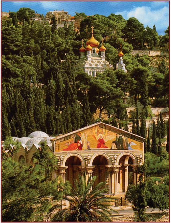 Day 7 continued After lunch we visit Mount Zion, the traditional site of the Room of the Last Supper and the beautiful Church of the Dormition which commemorates Mary s falling asleep.