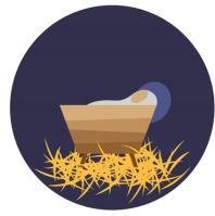 He was laid on a bed of straw in an animals feeding box. On Christmas day we celebrate the birth of Jesus Christ, who was born into the family tree of Jesse.