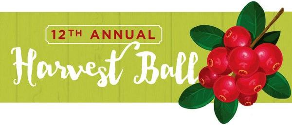 The ball also features a silent auction, which will include gift certificates, artwork, gift baskets, items from your favorite sports teams, and much more.