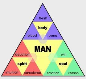 MAN AND THE ORIGIN OF EVIL This diagram represents, in a very limited way, the unique being of MAN. BODY: Flesh - (Covering, building, sensing) Gen. 2:7; Ps. 139:14-16; Ps. 8:4-5; Jn. 24:39.