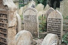 NEWSLETTER 1999/3 The Jewish Cemetery in Fibichova Street In June of this year the Jewish Museum in Prague took over maintenance of the Jewish cemetery in Fibichova Street, in the Prague district of