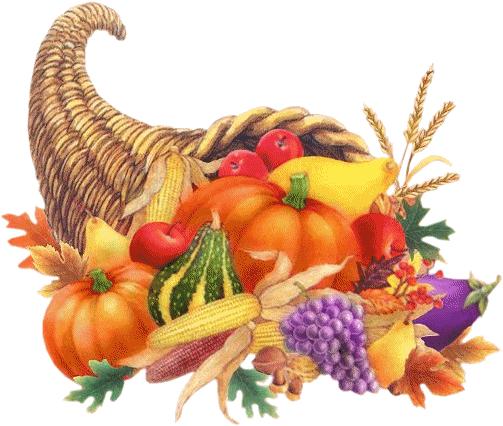 I would, therefore, invite you to join the parish family for the annual Thanksgiving Day Mass on Thursday, November 22rd, Thanksgiving Day at 9:00AM.