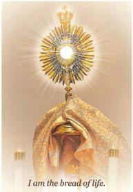 Eucharistic Adoration 8 x 10 framed color photo. A visual aid for making a Holy Hour at home. Suggested donation $7 includes mailing. Great Christmas gift.
