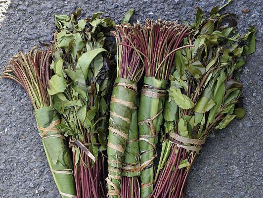 What is Khat?