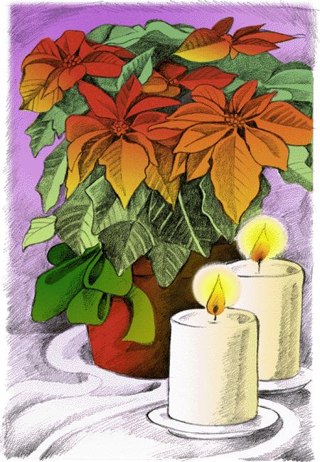 Flower Guild Annual Poinsettias Donations are being taken for poinsettias. Please fill out the form and return to the office. The Sanctuary will be decorated for two weeks.