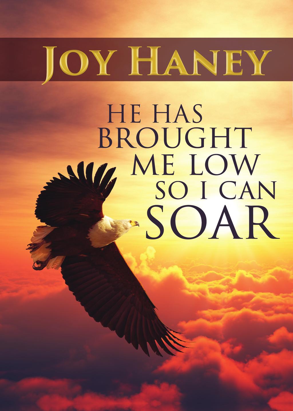 HE HAS BROUGHT ME LOW SO I CAN SOAR Sister Haney weaves an unmistakable story of faith and trust while sharing her personal life experiences and citing the similarities between her life and ours