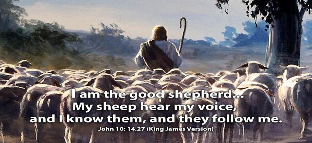 Jesus is not only our shepherd;