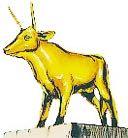However, while he was away, a man called Samiri made a golden calf by collecting gold from the people.