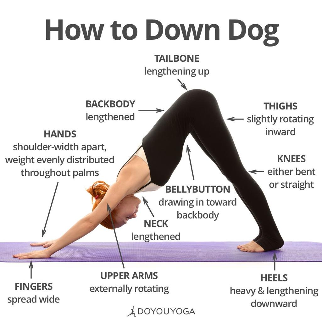 Downward Facing Dog adho mukha svanasana Common mistakes: Locking the knees (which will generally pull the sit bones down