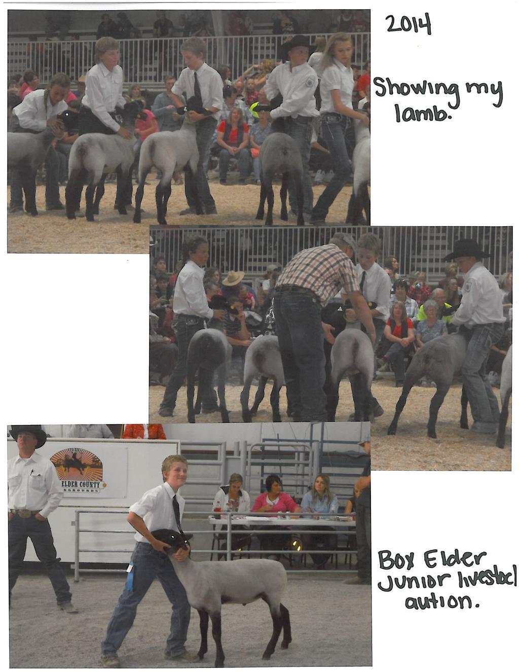 Our Junior Livestock Program will be the Subject of a Documentary Continued success of the Box Elder County Junior Livestock Sale stems from the steadfast support it receives from the local community