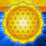True Self. This is co-creation. In this article, the Flower of Life is used as a model for co-creation or manifestation.