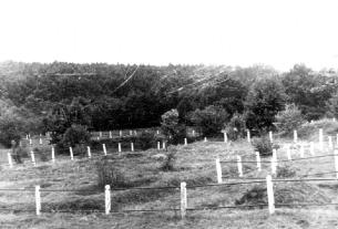 Mass graves near the former Pechora camp Yad Vashem Photo Collection, 243BO6 In this pastoral setting, which had been