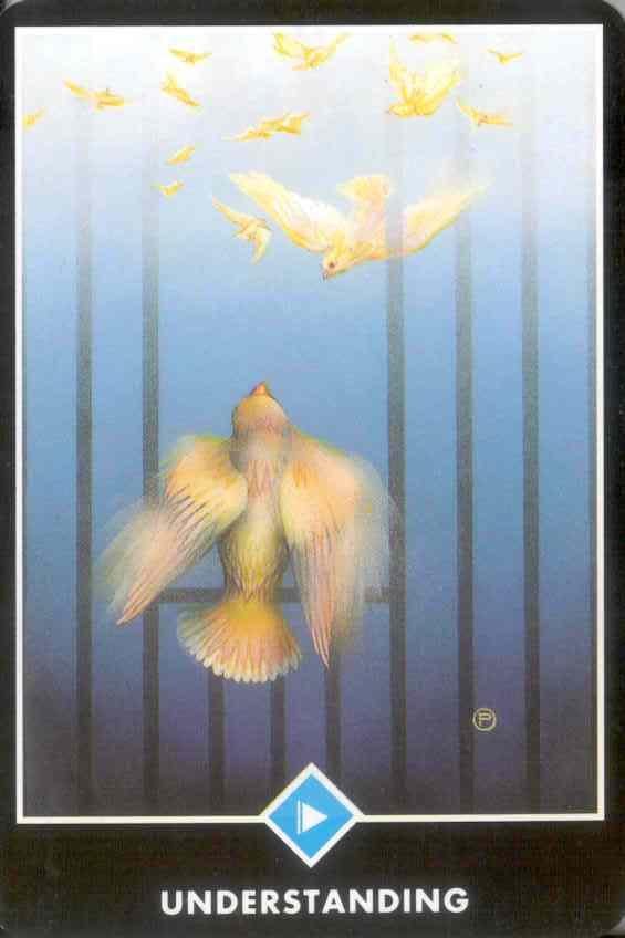 Water Page Resolution: the understanding The bird pictured on this card is looking out from what seems to be a cage. There is no door, and actually the bars are disappearing.