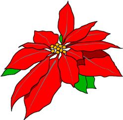 POINSETTIA TIME IS HERE! Before we know it, it will be time to decorate the Church for Christmas.