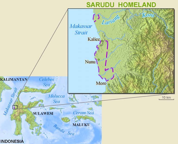 People and Language Detail Report Profile Year: 2002 Language Name: Sarudu ISO Language Code: sdu The Sarudu of Indonesia The Sarudu people live in South Sulawesi, in the marshland not far from