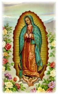 Following the Mass Prayer of Our Lady of Guadalupe Our Lady of Guadalupe, Mystical Rose, make intercession for holy Church, protect the sovereign Pontiff, help all those who invoke you in their