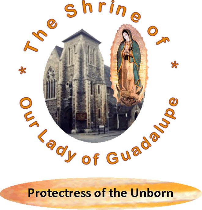 The Shrine of Our Lady of Guadalupe Newsletter March 2014 Volume 1, Issue 2 Contents: Farewell Shrine Coordinator Team Guadalupe Our past year National Pro-Life Mass Luton Good Council Procession of