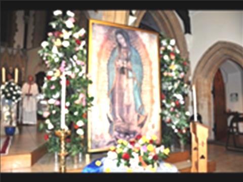 Page 2 of 5 Our busy past year This year has been particularly busy for the Shrine Guardians as the Miraculous Relic Image of Our Lady of Guadalupe has been invited to various centres of worship on