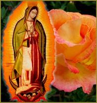 by Donna Lee The Immaculate Conception of the Blessed Virgin Mary Holy Day of Obligation December 8, 2018 9 a.m. Mass Church To fulfill the obligation to the Feast of the Immaculate Conception, we have to attend the 9 am Mass on Saturday, December 8.
