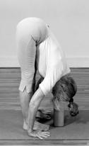 How does this insight inspire you? 8. Tadasana and Urdhva Hastasana Time to return to the opening two postures.