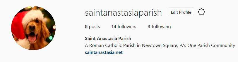 A Letter from Our Pastor Father Colagreco Dear Parishioners of Saint Anastasia, Hopefully you will find this latest edition of The Anastasian informative and enjoyable.