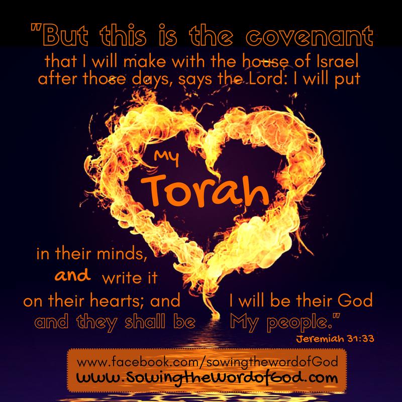 THROUGH YEHOSHUA MESSIAH I SERVE THE TORAH OF ELOHIM (Through Jesus Christ I serve the Law of God) PUBLISHED BY SOWING THE WORD OF GOD APRIL 25, 2017 Mattithyahu (Matthew) 26:28 For this is My blood,