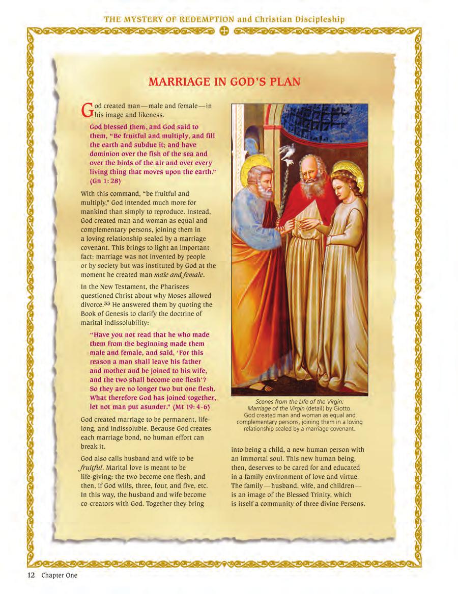 GUIDED EXERCISE Conduct a think / pair / share on the following question: o Explain how, in the Church s view, it takes three to make a human being: the mother, the father, and God?
