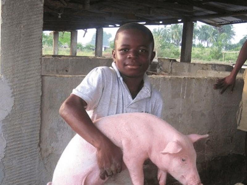 Give someone a pig, and you feed him for a day or perhaps, a few. Teach a community to raise pigs, and you feed them for a lifetime.