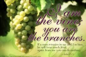 Fruitfulness John 15:1-8 "I am the true vine, and my Father is the gardener.