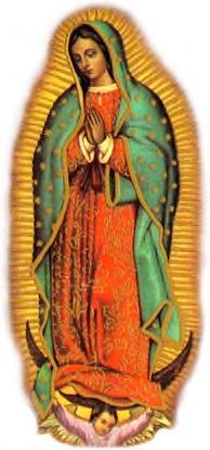 Other Feast Days of Mary May 13 Our Lady of Fatima May 31 The Visitation to Elizabeth July 16 Our Lady of Mount Carmel August 22 The Queenship of
