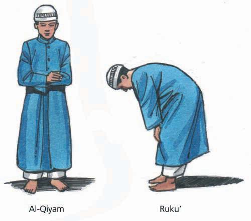 The rak ahs A rak ah is a sequence of movements, following a set pattern, which make up the prayer routine.