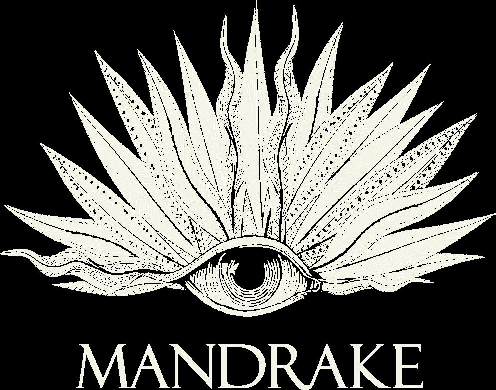 At The Mandrake, you can join us for one of our specially curated sensory experiences such as Vibro-Acoustic Massage, Full Moon Gong Baths,