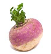 else: Let us love one another No garden is complete without Turnips Turn up with a